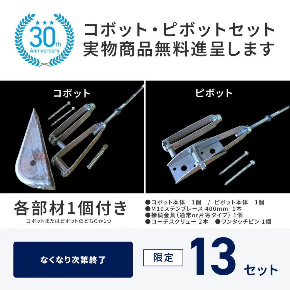 30周年記念キャンペーン　コボット・ピボットセット　実物商品無料進呈します