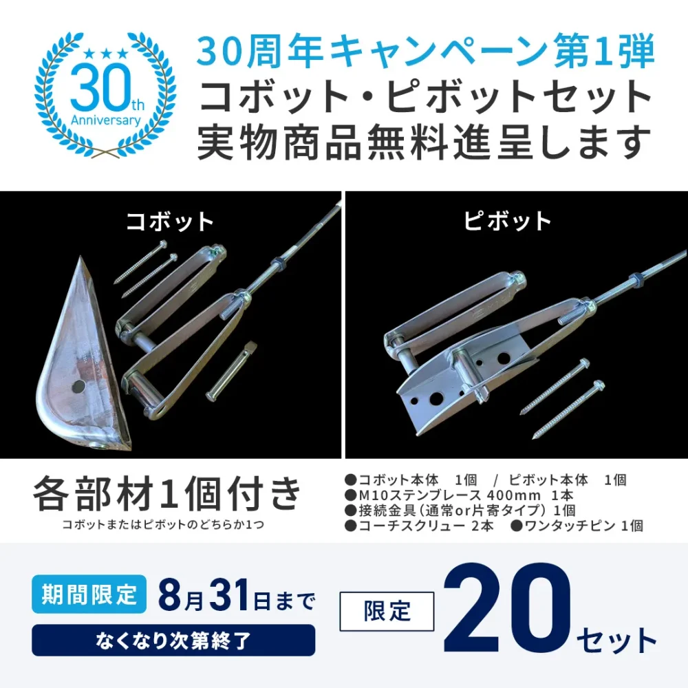 30周年記念キャンペーン 第1弾 コボット・ピボットセット実物商品無料進呈します